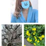 ヒメ日記 2026/03/31 20:55 投稿 まりえ 奥鉄オクテツ東京店（デリヘル市場）