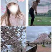 ヒメ日記 2026/04/01 12:30 投稿 まりえ 奥鉄オクテツ東京店（デリヘル市場）