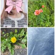 ヒメ日記 2026/04/12 10:55 投稿 まりえ 奥鉄オクテツ東京店（デリヘル市場）