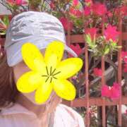 ヒメ日記 2026/04/16 12:25 投稿 まりえ 奥鉄オクテツ東京店（デリヘル市場）