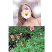 ヒメ日記 2026/04/23 16:10 投稿 まりえ 奥鉄オクテツ東京店（デリヘル市場）