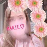 ヒメ日記 2026/04/24 15:50 投稿 まりえ 奥鉄オクテツ東京店（デリヘル市場）