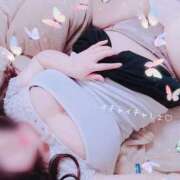 ヒメ日記 2025/04/01 20:30 投稿 ゆん 愛姫～ラブひめ～