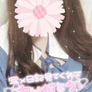 ヒメ日記 2025/04/12 06:45 投稿 ゆん 愛姫～ラブひめ～