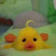 ヒメ日記 2025/06/06 11:32 投稿 汐音（しおね） チューリップ宇都宮店