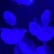 ヒメ日記 2025/06/13 22:05 投稿 篠原【人妻コース】 CLUB CANDY（鳥栖店）