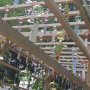 ヒメ日記 2025/12/13 19:10 投稿 ちの 埼玉西川口ショートケーキ（シンデレラグループ）