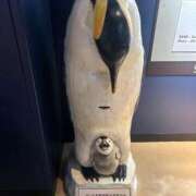 ヒメ日記 2026/03/20 06:43 投稿 ちの 埼玉西川口ショートケーキ（シンデレラグループ）