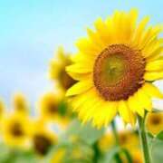 ヒメ日記 2025/07/25 08:17 投稿 りお 完熟ばなな 立川