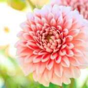 ヒメ日記 2025/10/01 23:27 投稿 りお 完熟ばなな 立川