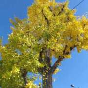 ヒメ日記 2025/10/05 20:37 投稿 りお 完熟ばなな 立川