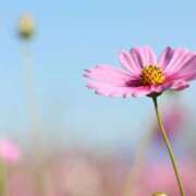 ヒメ日記 2025/10/16 07:27 投稿 りお 完熟ばなな 立川