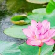 ヒメ日記 2025/10/26 18:27 投稿 りお 完熟ばなな 立川