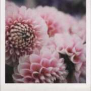 ヒメ日記 2026/01/26 09:47 投稿 りお 完熟ばなな 立川