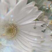 ヒメ日記 2026/01/27 09:57 投稿 りお 完熟ばなな 立川