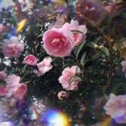 ヒメ日記 2026/01/29 07:37 投稿 りお 完熟ばなな 立川