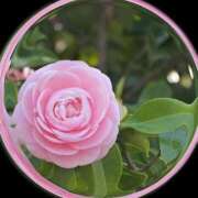 ヒメ日記 2026/02/05 08:27 投稿 りお 完熟ばなな 立川