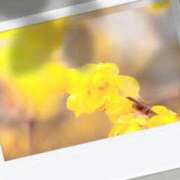 ヒメ日記 2026/02/25 15:38 投稿 りお 完熟ばなな 立川