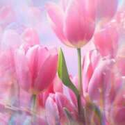 ヒメ日記 2026/03/18 08:57 投稿 りお 完熟ばなな 立川