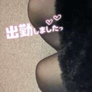 ヒメ日記 2025/03/11 11:18 投稿 みお 静岡駅前ちゃんこ