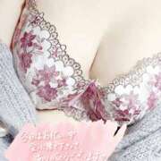 ヒメ日記 2025/03/12 17:28 投稿 みお 静岡駅前ちゃんこ