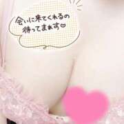 ヒメ日記 2025/04/02 10:48 投稿 みお 静岡駅前ちゃんこ