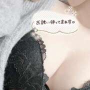 ヒメ日記 2025/05/07 11:08 投稿 みお 静岡駅前ちゃんこ