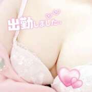 ヒメ日記 2025/07/18 10:28 投稿 みお 静岡駅前ちゃんこ