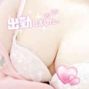 ヒメ日記 2025/08/19 10:08 投稿 みお 静岡駅前ちゃんこ