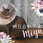 ヒメ日記 2025/09/11 00:14 投稿 みゆ 梅田アバンチュール