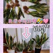 ヒメ日記 2025/12/24 02:32 投稿 みゆ 梅田アバンチュール