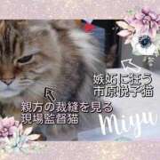 ヒメ日記 2026/01/08 00:32 投稿 みゆ 梅田アバンチュール