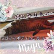 ヒメ日記 2026/01/16 00:52 投稿 みゆ 梅田アバンチュール