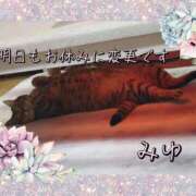 ヒメ日記 2026/02/04 00:52 投稿 みゆ 梅田アバンチュール