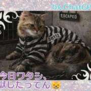 ヒメ日記 2026/03/02 01:22 投稿 みゆ 梅田アバンチュール