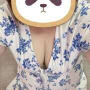 ヒメ日記 2025/08/25 20:39 投稿 こはる 石川小松ちゃんこ