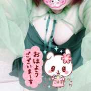 ヒメ日記 2025/10/08 10:09 投稿 こはる 石川小松ちゃんこ