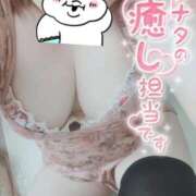 ヒメ日記 2025/10/15 10:19 投稿 こはる 石川小松ちゃんこ