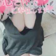 ヒメ日記 2025/11/18 11:59 投稿 こはる 石川小松ちゃんこ