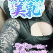 ヒメ日記 2025/12/15 10:19 投稿 こはる 石川小松ちゃんこ