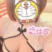 ヒメ日記 2026/01/26 15:59 投稿 こはる 石川小松ちゃんこ