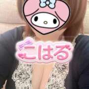 ヒメ日記 2026/02/04 11:49 投稿 こはる 石川小松ちゃんこ