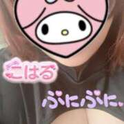 こはる 💖ぷにぷに💖 石川小松ちゃんこ