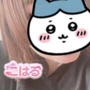 ヒメ日記 2026/07/24 09:42 投稿 こはる 石川小松ちゃんこ