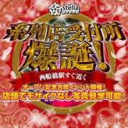ヒメ日記 2025/05/20 16:58 投稿 堂山あきな 恋する妻たち