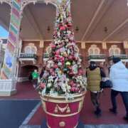 ヒメ日記 2025/11/18 11:28 投稿 堂山あきな 恋する妻たち