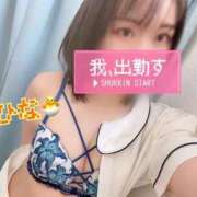ヒメ日記 2026/05/01 12:53 投稿 ひな 熊本しこたまクリニック（アクセスグループ）