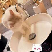 ヒメ日記 2025/04/12 03:43 投稿 ☆りな☆ VIP Lounge