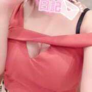 ヒメ日記 2025/07/24 12:00 投稿 夏木 のあ SUMIRE