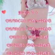 ヒメ日記 2026/02/25 19:17 投稿 夏木 のあ SUMIRE